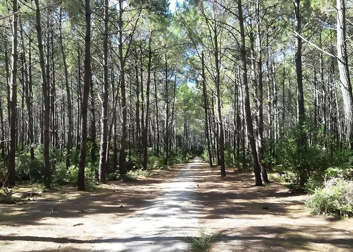 Front De Alpesi faház Le Verdon-sur-Mer